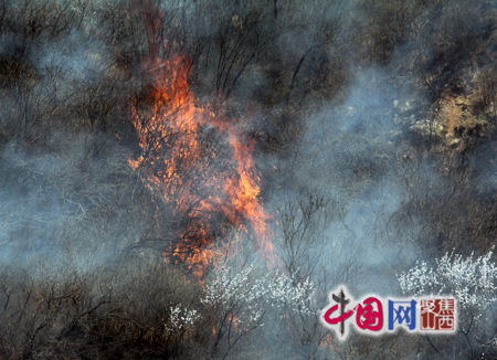 图:灭火人员在火灾现场进行扑救