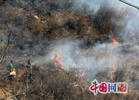 图:灭火人员在火灾现场进行扑救