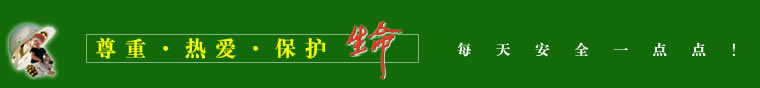 易安网