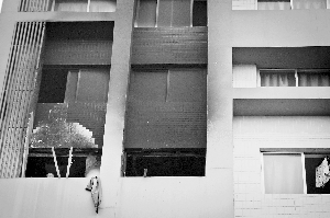 广州一公寓楼爆炸，女子被震出坠亡