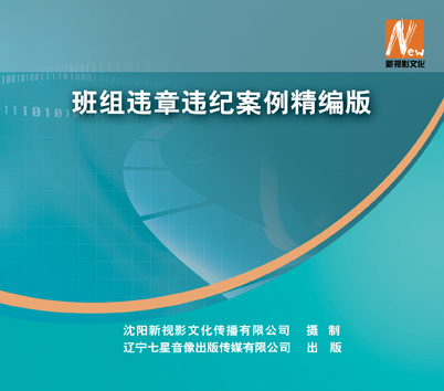 LSY1211 班组违章违纪案例精编版