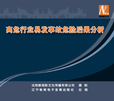 LSY1212 高危行业易发事故危险后果分析