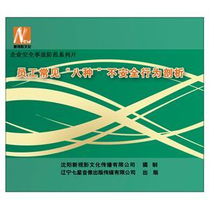 LSY1314 员工常见“八种”不安全行为剖析(2DVD)