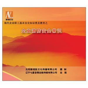 LSY1310 企业消防安全常识(2DVD)
