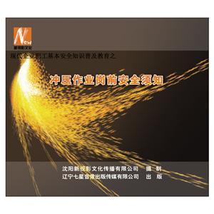LSY1308 冲压作业岗前安全须知(2DVD)