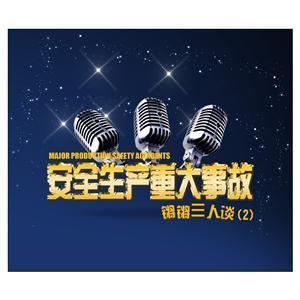 LYL1312 安全生产重大事故“铿铿三人行”之二（2片DVD）