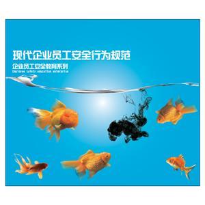 LYL1309 现代企业员工安全行为规范（2片DVD）