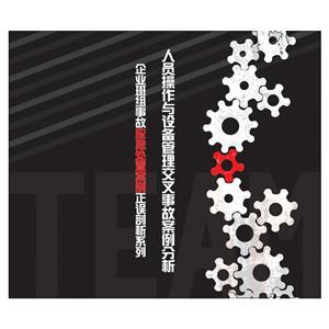 LYL1307 人员操作与设备管理交叉事故案例分析（2片DVD）