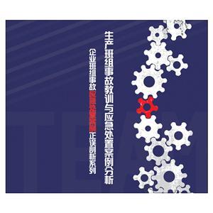 LYL1306 生产班组事故教训与应急处置案例分析（2片DVD）