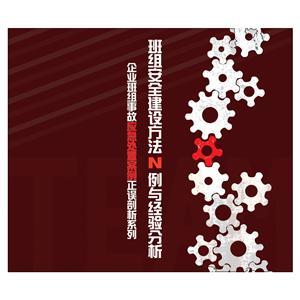 LYL1305 班组安全建设方法N例与经验分析（2片DVD）
