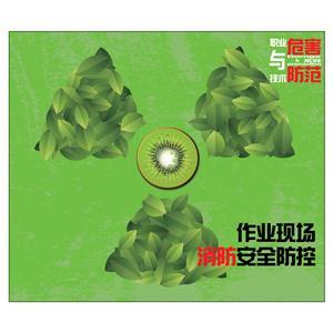 LYL1302 作业现场消防安全防控（2片DVD）