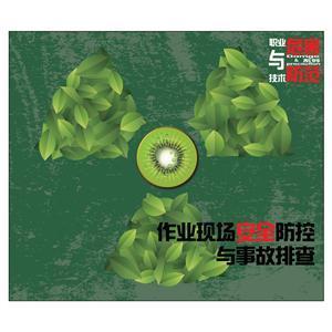 LYL1301 作业现场安全防控与事故排查（2片DVD）