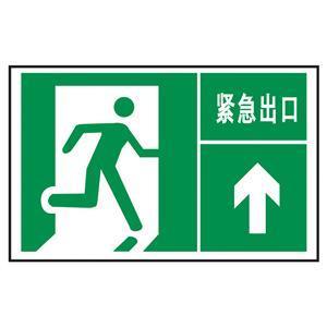 紧急出口(直行)