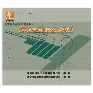 LSY1404《现代企业班组安全故事防范》（2DVD）