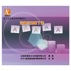 LSY1409《违章究竟害了谁》（2DVD）