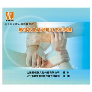 LSY1410《班组安全意识与习惯性违章》（2DVD）
