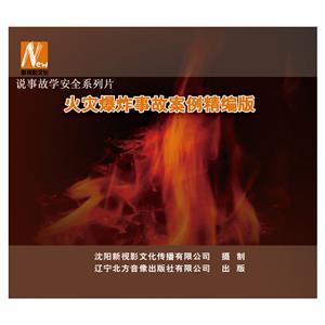 LSY1411《火灾爆炸事故案例精篇版》（2DVD）