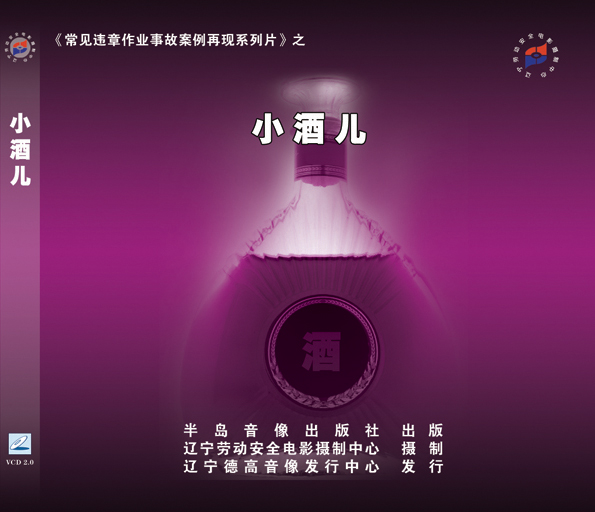 LLN1001《常见违章作业事故案例再现系列片》之《“小酒儿”》1VCD