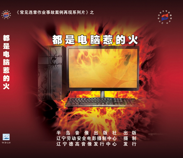 LLN1002《常见违章作业事故案例再现系列片》之《都是电脑惹的火》1VCD