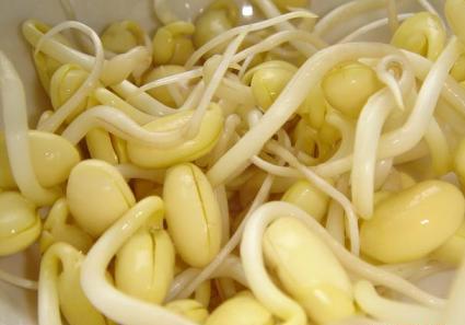 黄豆芽