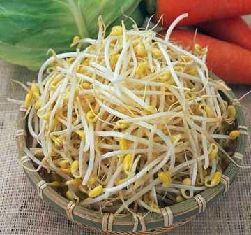 绿豆芽