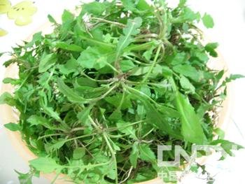【野菜】春季常见野菜养生功能大全