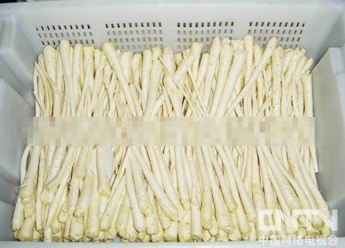 【野菜】春季常见野菜养生功能大全