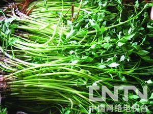 【野菜】春季常见野菜养生功能大全