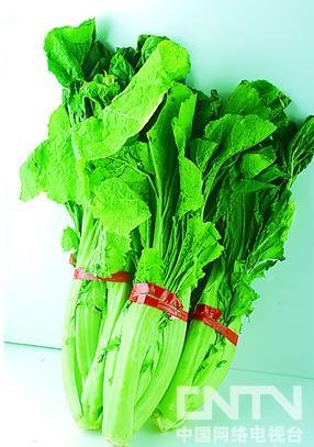 【野菜】春季常见野菜养生功能大全