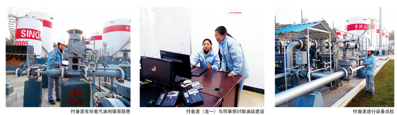 “女劳模”奋斗在一线