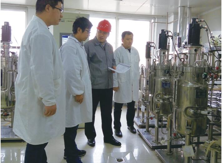 “因类制宜 定频助安”