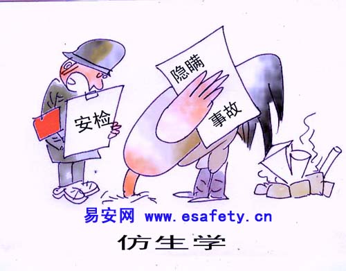 仿生学（4月作品）