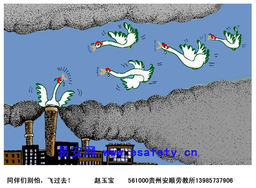 同伴们别怕，飞过去！（5月作品）