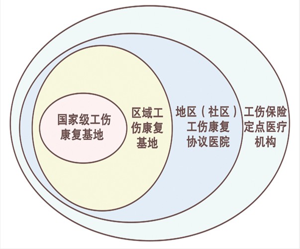 我国工伤康复的发展和政策