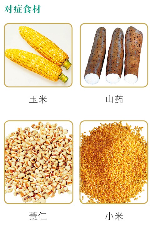 脾的养生之道