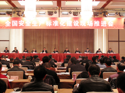 全国安全生产标准化建设现场推进会召开