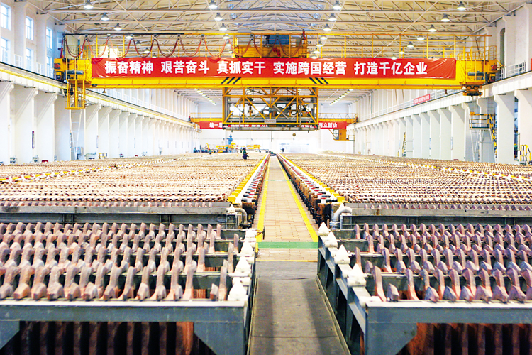 实施“12345”工程  践行金川模式