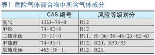 法国布林迪西省医药厂爆炸事故