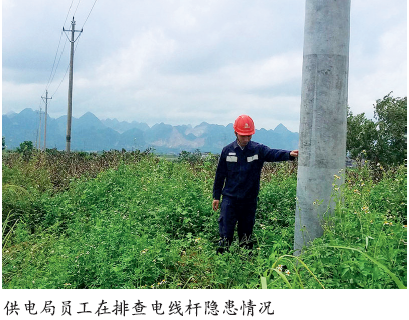 广西百色田阳供电局开展台风灾后基建隐患排查