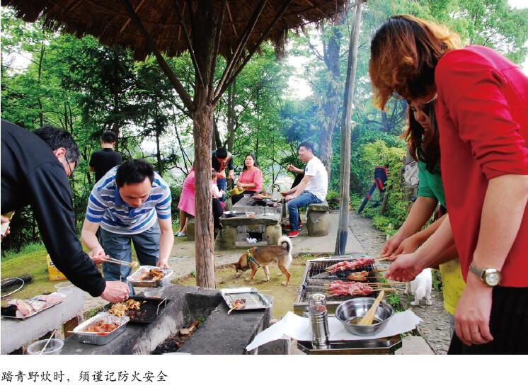 春季踏青 安全先行