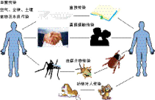 生物危害与预防
