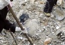溃坝到底吞没多少人