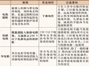 《安全鞋、防护鞋和职业鞋的选择、使用和维护》解读