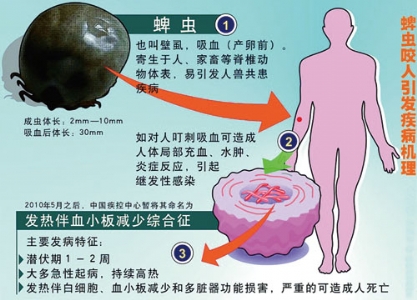 如何防蜱虫叮咬