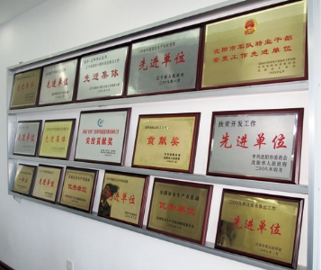 创建安全发展型城市