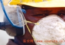 环球职业安全健康动态