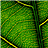 sdzqx